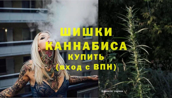 прущие грибы Строитель