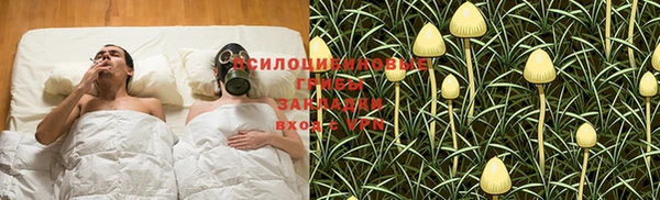 mix Верея