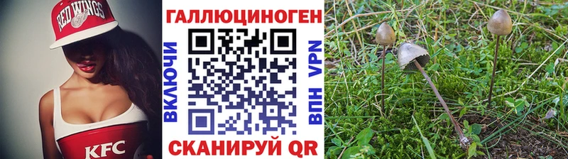 Псилоцибиновые грибы MAGIC MUSHROOMS  дарнет шоп  KRAKEN ссылка  Мостовской 
